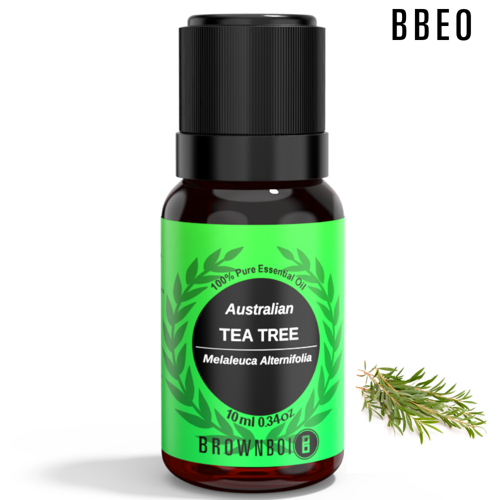 BrownBoi 100% Plant Derived Organic Australian Tea Tree Essential Oil, Melaleuca Alternifolia Oil