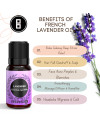 Lavender_Essential_Oil